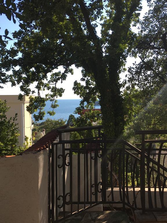 Villa Julia Petrovac na moru Exterior foto