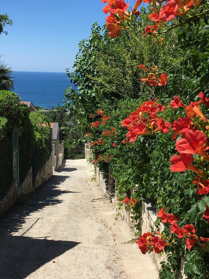 Villa Julia Petrovac na moru Exterior foto
